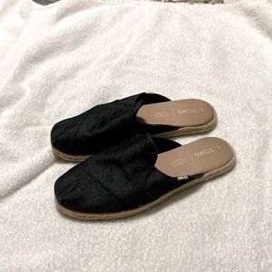 Toms size 7 women